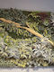 Artificial Vertical Garden Succulents Moss Eternal Moss 1.50 x 2m