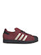 Superstar Sneakers Nobmar / Crewht / C