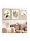 Paintings Frame Set 3 Pieces A-g 693bse1171 30x40 MDF