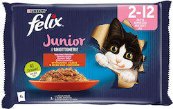 Felix Wet Food 4x85gr