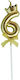 Cake Birthday Candle Number 6 Crown Design Gold Flippy Party