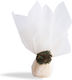 Beauty Home Fabric for Wedding Favors Green 50pcs
