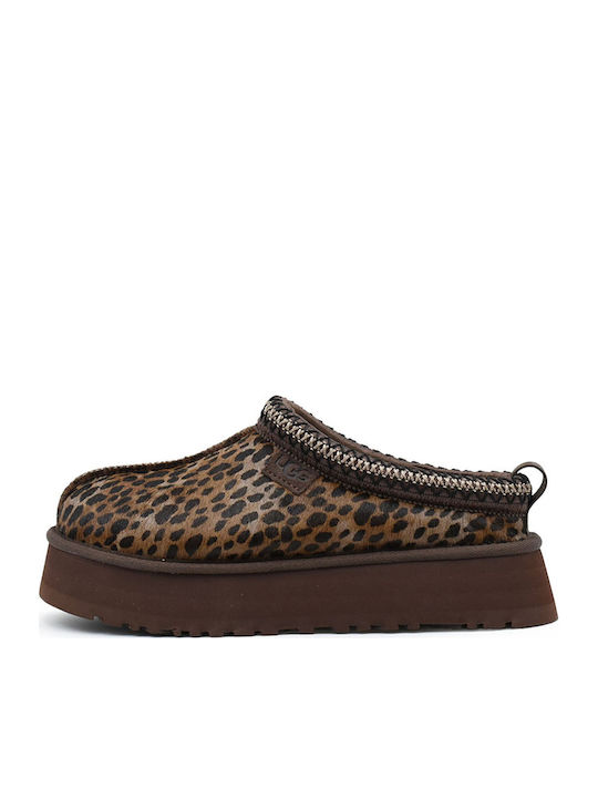 Tazz Ugg Boots Hausschuhe Damen Ugg Tazz Breuninger Uggs Sale Ugg