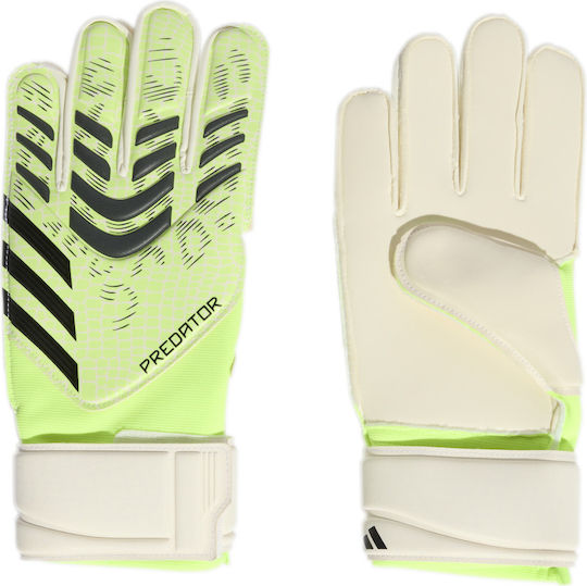 adidas Predator Gl Mtc Torwarthandschuhe Erwachsene Grün