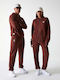 Sweatshirt with Hood Brown