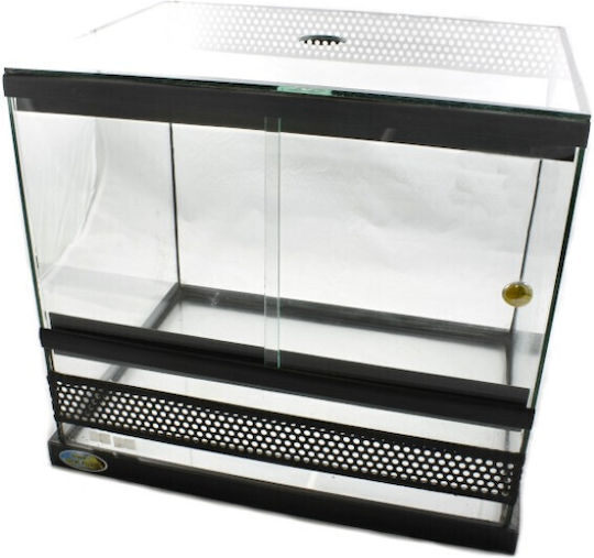 Greek Colal Fish Reptile Terrarium Terrarium