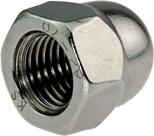 Blind Nut 20mm DIN 1587 100pcs Aisi 304 Din