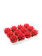 Εχεβέρια Echeveria Miranda Velvet Red