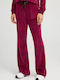 Sweatpants Velvet Burgundy