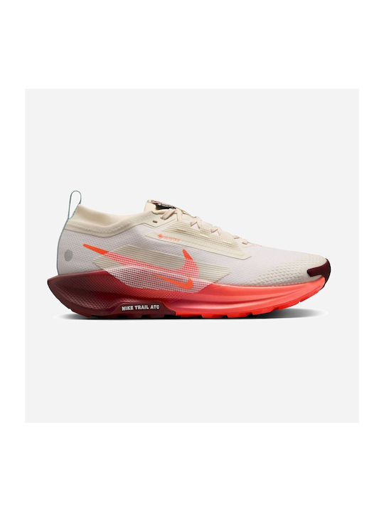 Nike Pegasus Trail 5 Gore-tex Sport Shoes Trail...