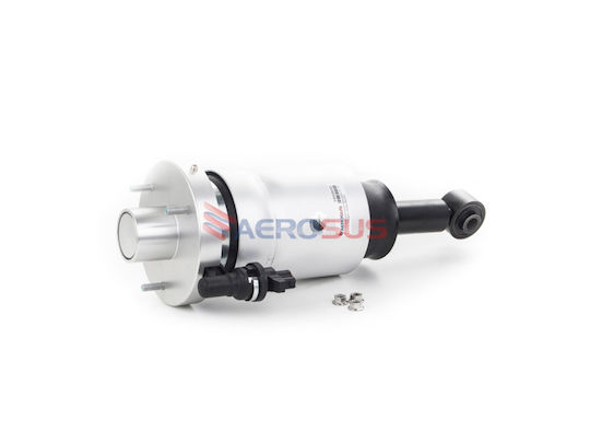 Aerosus Aerosus Ford Expedition Shock Absorber Rear Right Air Suspension 2007-2012 2007 2008 2009 2010 2011 2012 165800 165800-1