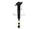 Aerosus Aerosus Rear Right Shock Absorber Land ...
