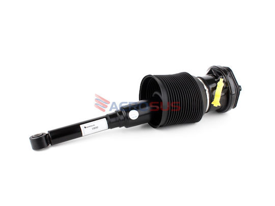 Aerosus Aerosus Lexus LS 430 UCF30 2001-2006 Right Back Air Shock Absorber 2000 2001 2002 2003 2004 2005 2006 179737 179737-1