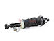 Aerosus Aerosus Audi A6 C5 4b Allroad Rear Left Air Suspension 1999 2000 2001 2002 2003 2004 2005 163284