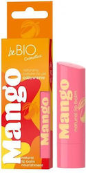 beBio Nourishing Lip Balm 5gr