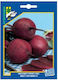 Geniki Fytotechniki Athinon Seeds Beetroot Round
