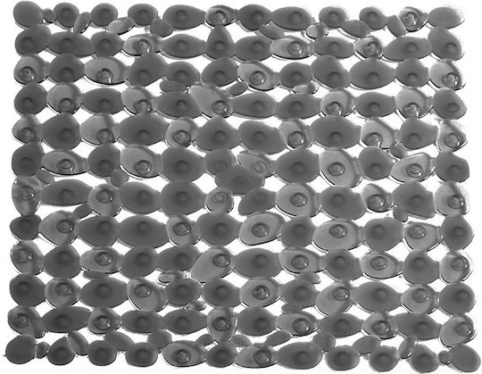 Dimitracas Sassolini Bathtub Non-slip with Suction Cups Black