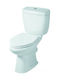 Gloria Rostov Floor-Standing Toilet with Flush