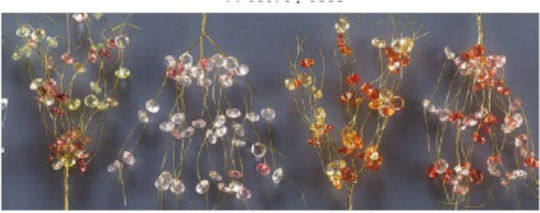 Flower YY60848 Red
