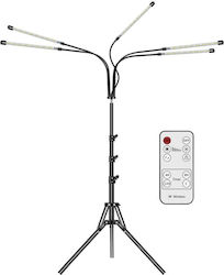 Grow Light
