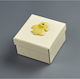 Box Bs05316 Rosa