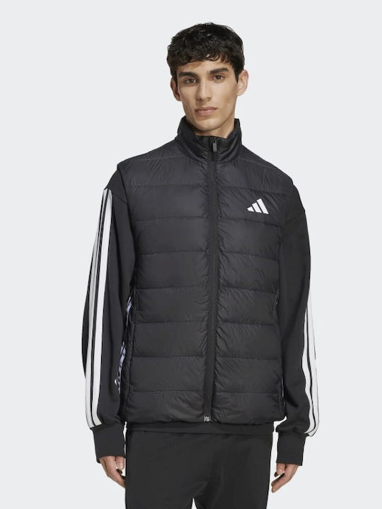 adidas adidas