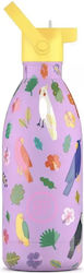 Cool Bottles Bottle Thermos 500ml Purple