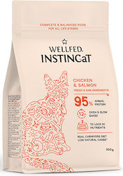 Wellfed 0.3kg Dry Cat Food Wellfed 0.3kg Dry Cat Food