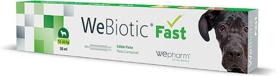 Wepharm Πολυβιταμίνες Σκύλου και Γάτας σε Πάστα 2gr 30ml για Γαστρεντερικές Διαταραχές