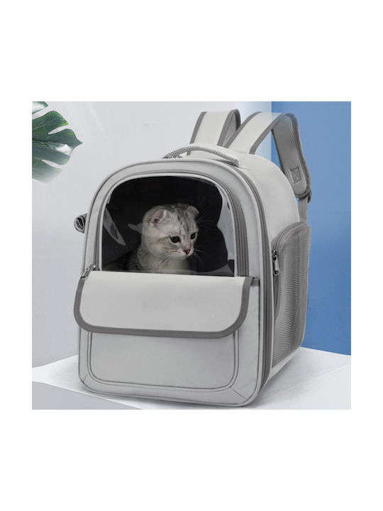 Animal 33cm Gray