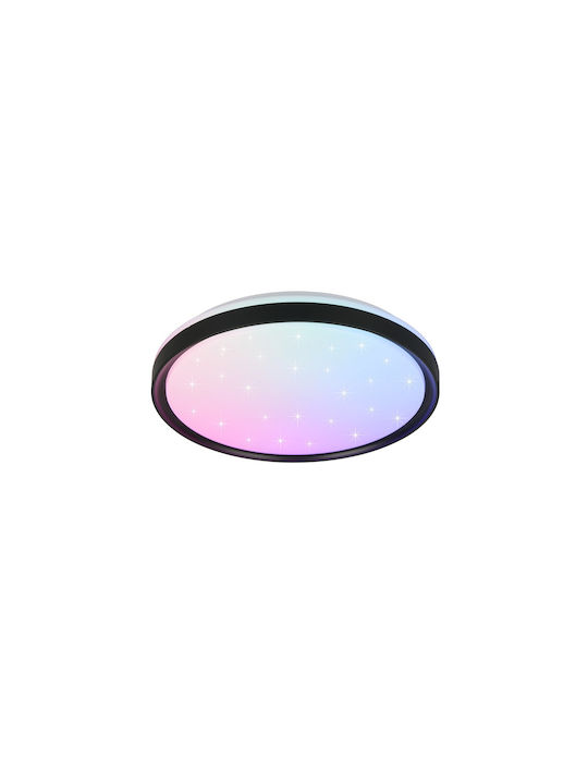 Trio Lighting Ceiling Mount Light Black
