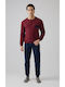 Minerva Red
