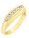Damen Chevalier Ring mit Zirkonia aus Gold 9K