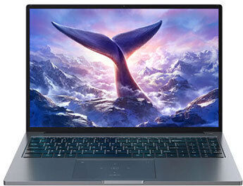 BlackView GamiBook 8 16" IPS FHD+ (Ryzen 7-7735HS/16GB/512GB SSD/W11 Pro) (US Keyboard)
