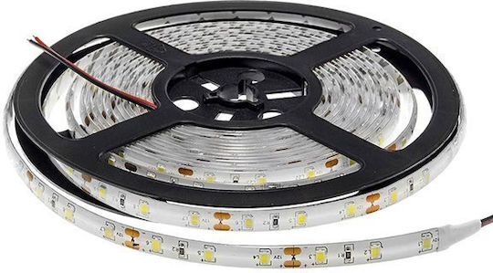 Optonica LED Strip Natural White Light Type SMD2835