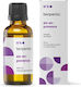 Terpenic Essential Oil Rosemary 30ml