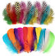 Set 300 Pene Decorativ Colorate pentru Creații DIY 8-12 Cm Pene Naturale de Gâscă Ornamente Decorare Proiecte Creative