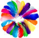 Set 500 Pene Decorativ Colorate 8-12 Cm Creații DIY Pene de Gâscă Naturale Ornamente Decor Proiecte Creative