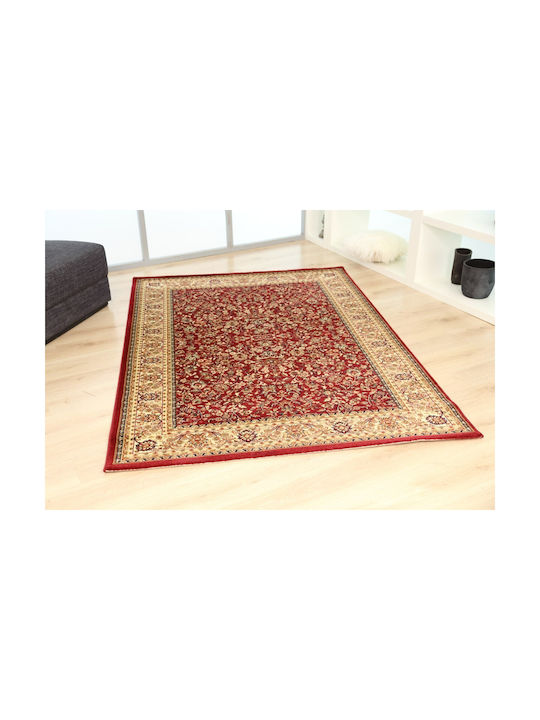 Royal Carpet Olympia 8595E 250x300cm Red