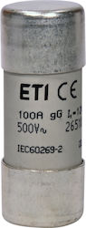 Siguranta Sicherungsglieder Cilindrica Gg Current Alternativ 22x58 100a 500v Ch22x58 002651050 Eti