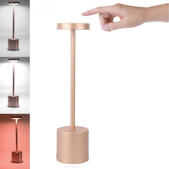 Decorative Lamp