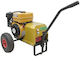 Robin Roată Generator Recoltare Măslini 70A