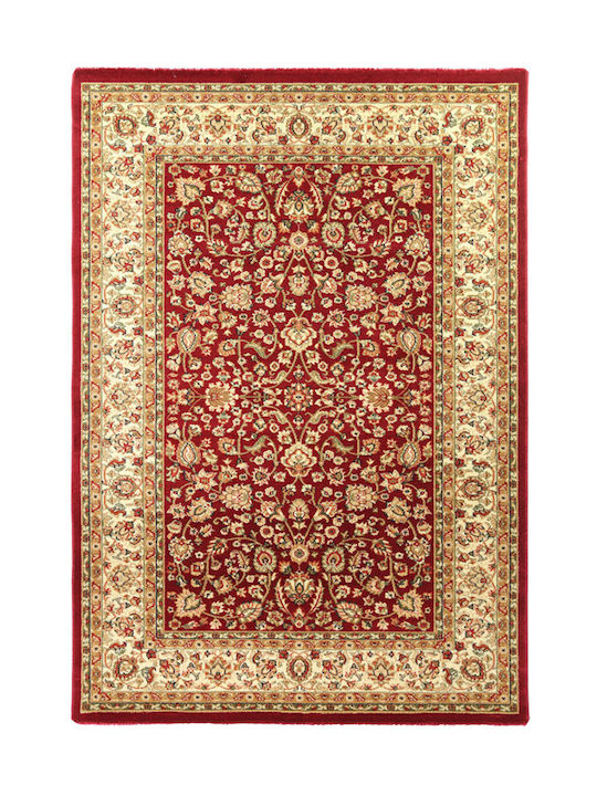 Royal Carpet 4262C Teppich Rechteckig Synthetisch,Polyester/Cotton/Leather Red