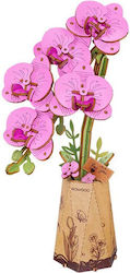 Rowood Purple Moth Orchid Purple Moth Orchid