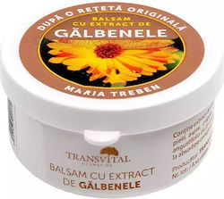 Transvital Balsam de Gălbenele pentru Vindecare 30ml Transvital Balsam de Gălbenele pentru Vindecare 30ml