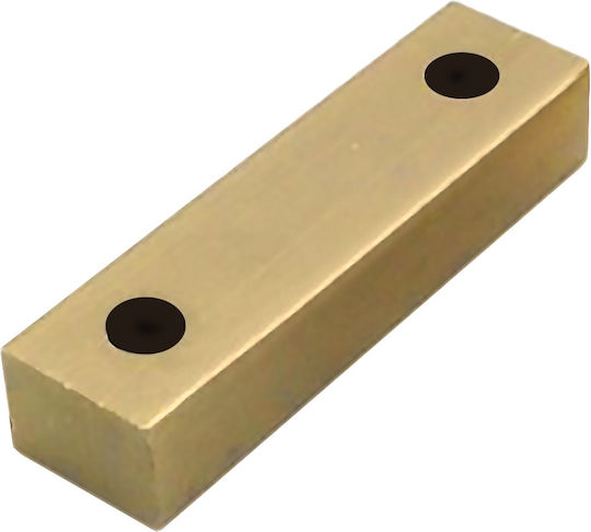 Brass Pads 10mm Gold 520-5t70 Metalor