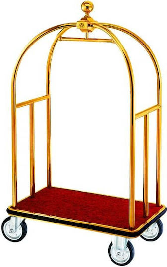 Trolley For Transporting Suitcases Hanger Inox Ss201 109x65x187cm Gold