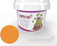 Lumea Glas Fondant 400gr Portocaliu