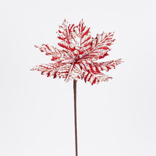 Alexandriano Candy Gefroren 27x45cm