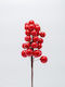 Πικακι Κοκκινα Berries 28cm